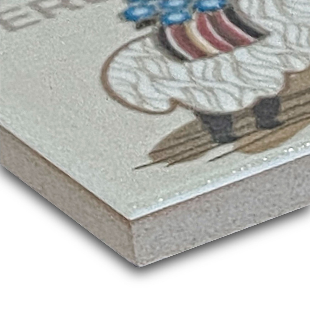 Imán Alpaca D 4.6X4.6X0.4