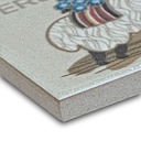 Imán Alpaca D 4.6X4.6X0.4