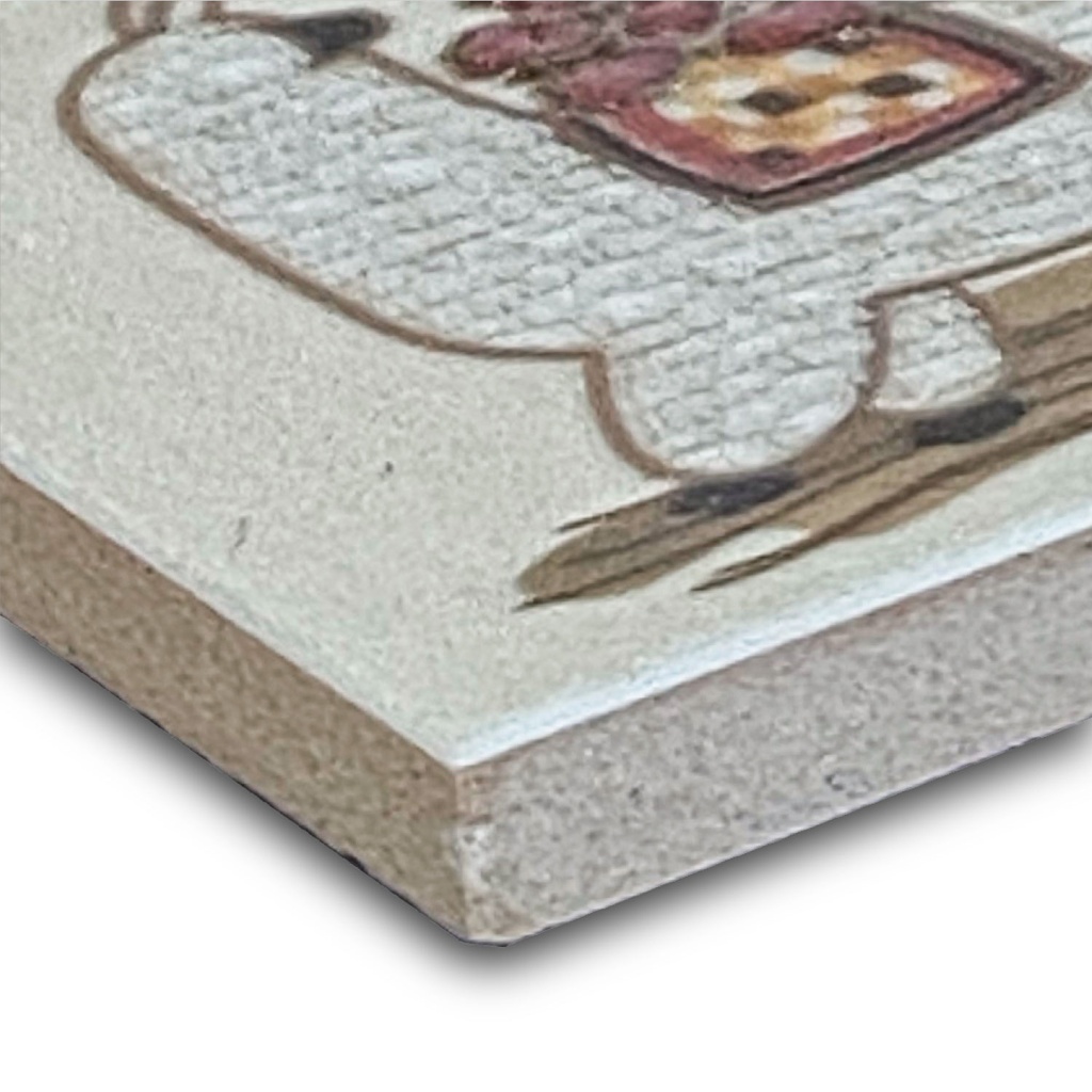 Imán Alpaca C 4.6X4.6X0.4