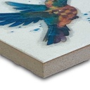 Imán Qente A 4.6X4.6X0.4