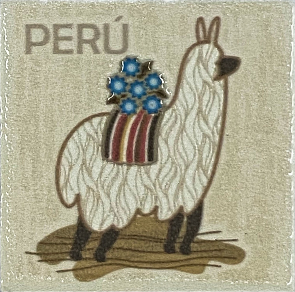 Imán Alpaca D 4.6X4.6X0.4